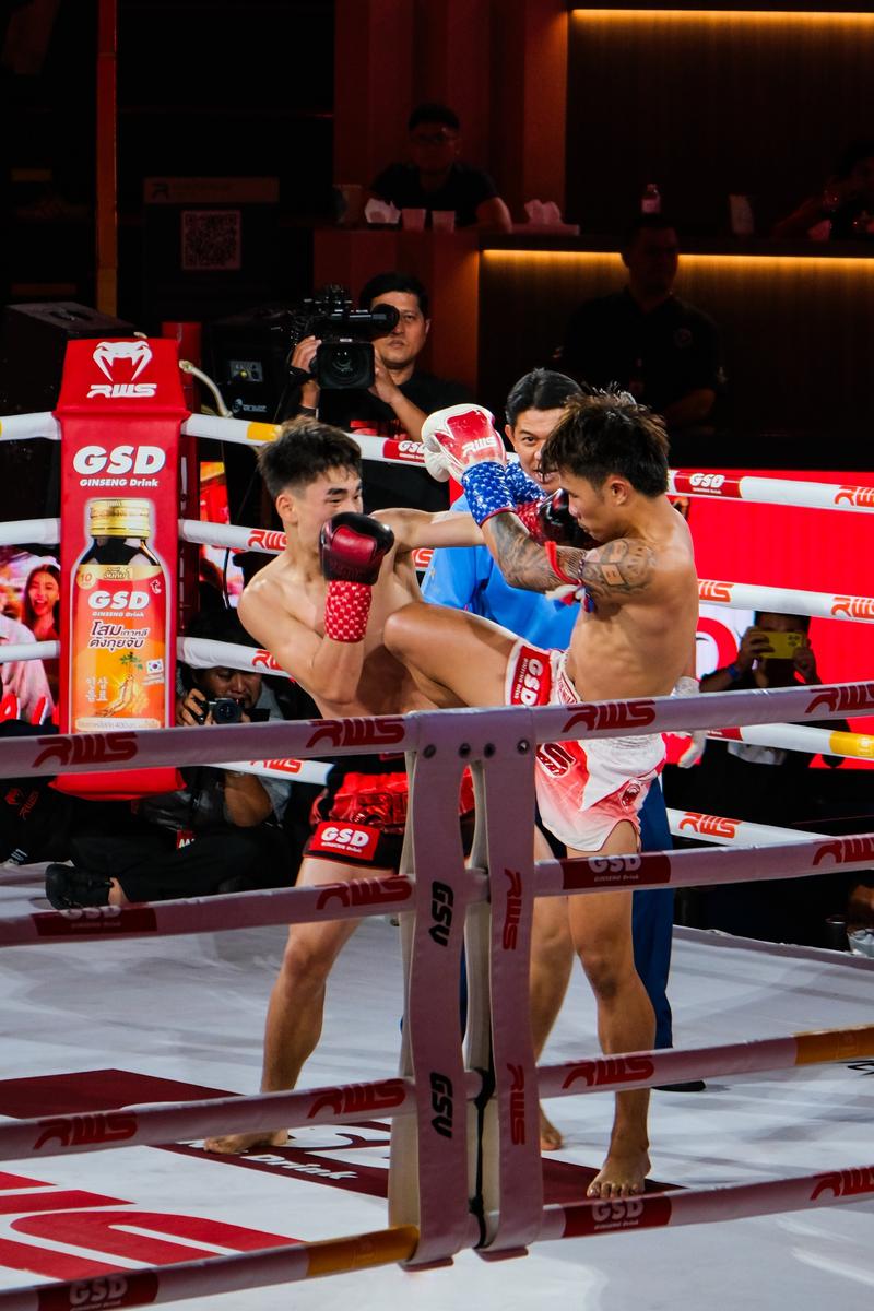 国际泰拳