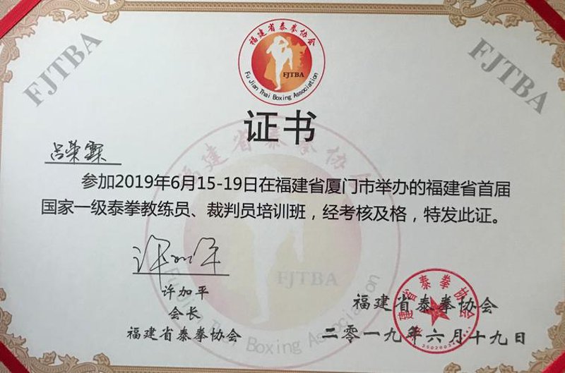 世界泰拳联合会：引领搏击运动新时代